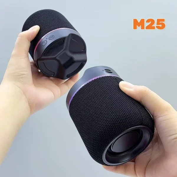 M25 Two-In-One Split Wireless DJ Speaker